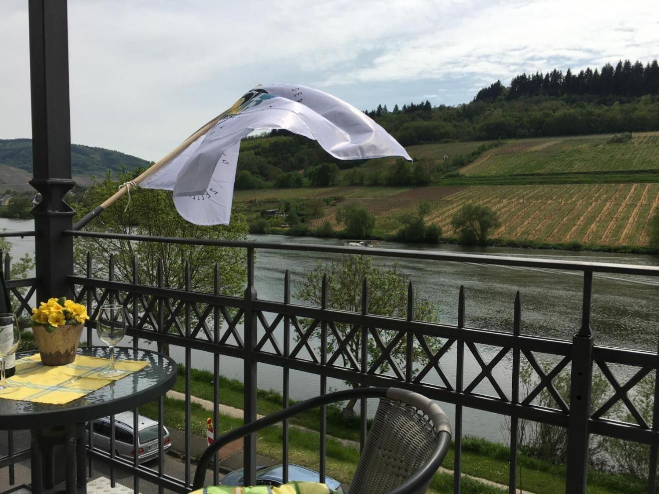 Ferienhaus Moselmerle Apartment Zell an der Mosel Ngoại thất bức ảnh