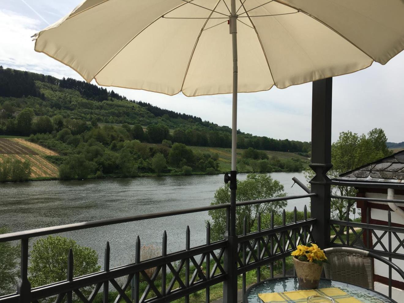 Ferienhaus Moselmerle Apartment Zell an der Mosel Ngoại thất bức ảnh